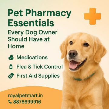 Pet Pharmacy Essentials Every Dog Owner Should Have at Home