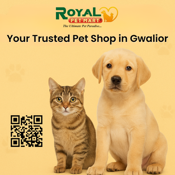 Royal Pet Mart in Gwalior: Your One-Stop Trusted Pet Shop