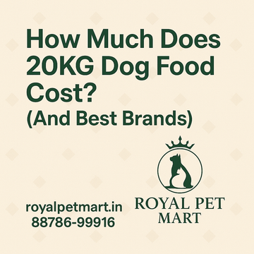 How Much Does 20KG Dog Food Cost? (And Best Brands)