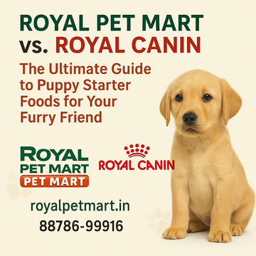 Royal Pet Mart vs. Royal Canin: The Ultimate Guide to Puppy Starter Foods for Your Furry Friend