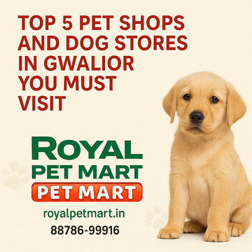 Top 5 Pet Shops and Dog Stores in Gwalior You Must Visit