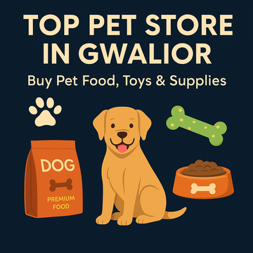 Top Pet Store in Gwalior | Buy Pet Food, Toys & Supplies