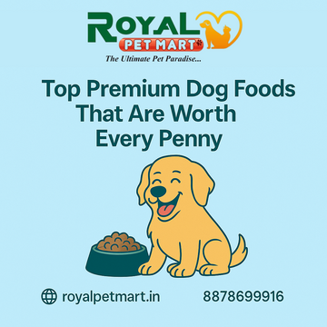 Top Premium Dog Foods That Are Worth Every Penny