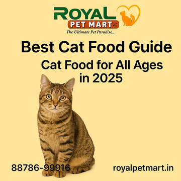 Best Cat Food Guide: Cat Food for All Ages in 2025