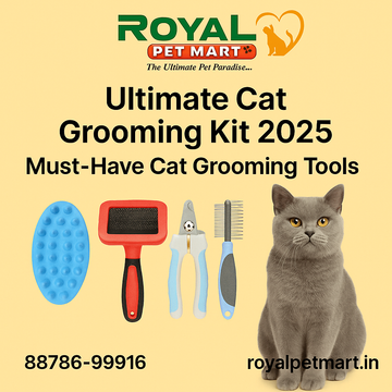 Ultimate Cat Grooming Kit 2025: Must-Have Cat Grooming Tools