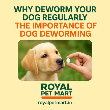 Why Deworm Your Dog Regularly: The Importance of Dog Deworming