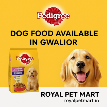 Pedigree Dog Food – Best Nutrition for Your Dog's Health