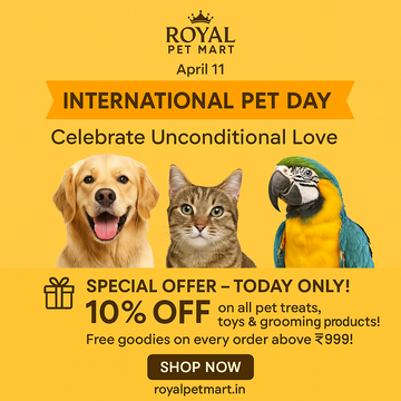 Celebrate International Pet Day with Royal Pet Mart