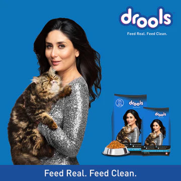 Drools Adult (+1 Year) Ocean Fish Dry Cat Food - 14Kg(7Kg+7Kg)