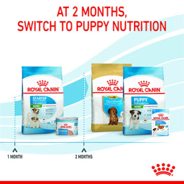 Royal Canin Mini Starter for Small Breed Dogs Dry Food