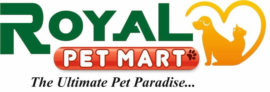 Royal Pet Mart | Trusted Pet Shop in Gwalior