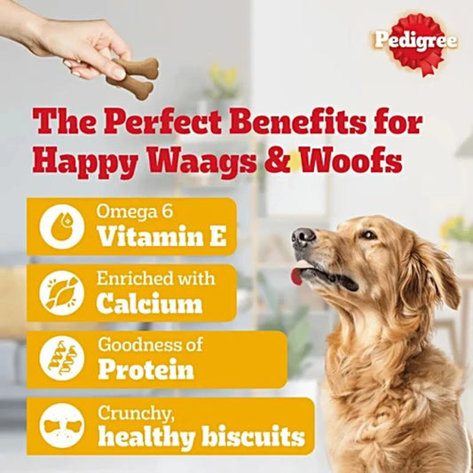 Pedigree Biscrok Biscuits for Dogs – Chicken Flavour (900g)