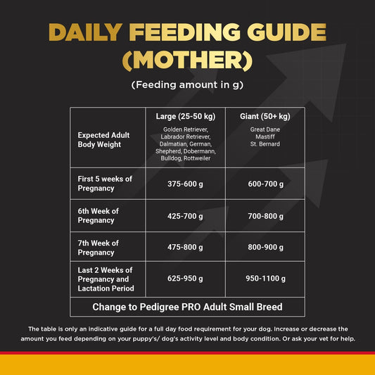 Pedigree Pro Mother & Pup Starter Dry Puppy Food | Large Breed