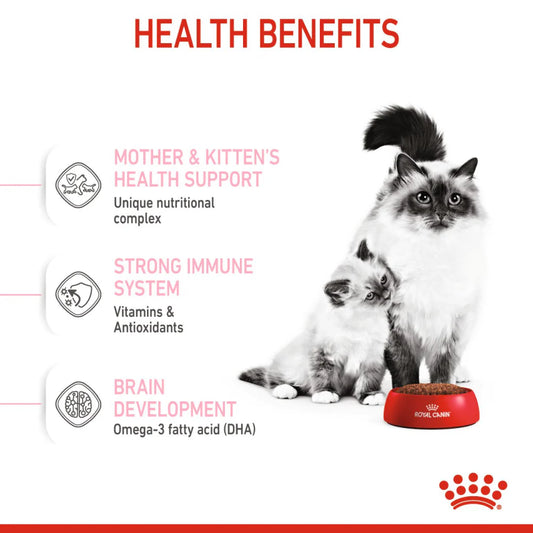 Royal Canin Mother & Baby Cat Dry Food - 2Kg