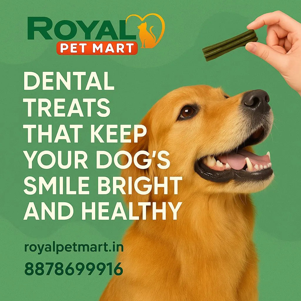 Dental Treats That Keep Your Dog’s Smile Bright and Healthy