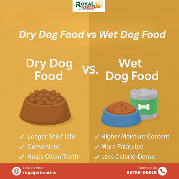 Dry Dog Food vs Wet Dog Food: What’s Best for Your Furry Friend?