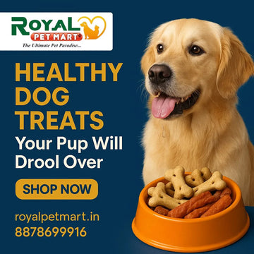Healthy Dog Treats Your Pup Will Drool Over — Shop Now!