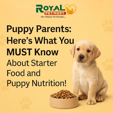 Puppy Parents: Here’s What You MUST Know About Starter Food and Puppy Nutrition!