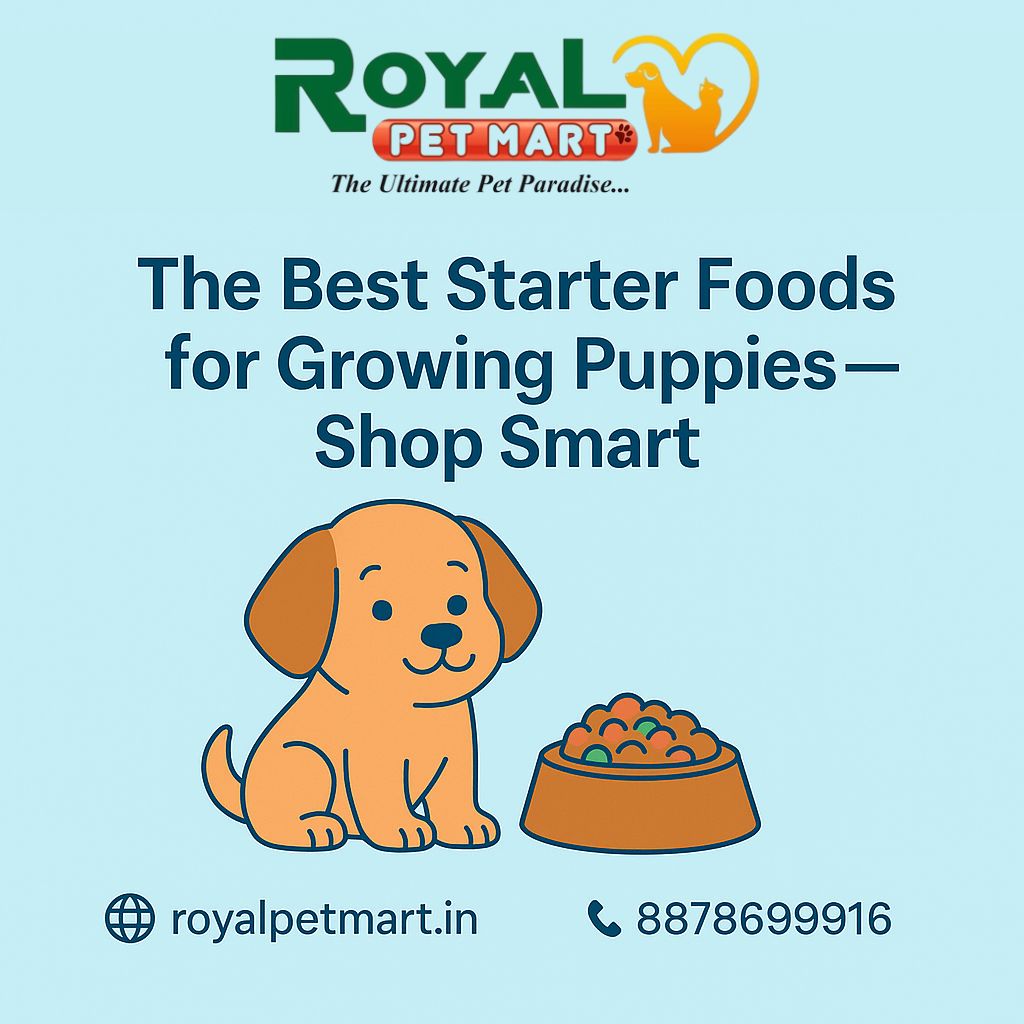 The Best Starter Foods for Growing Puppies — Shop Smart!