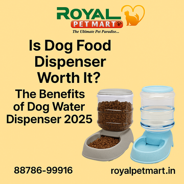 Is Dog Food Dispenser Worth It? The Benefits of Dog Water Dispenser 2025