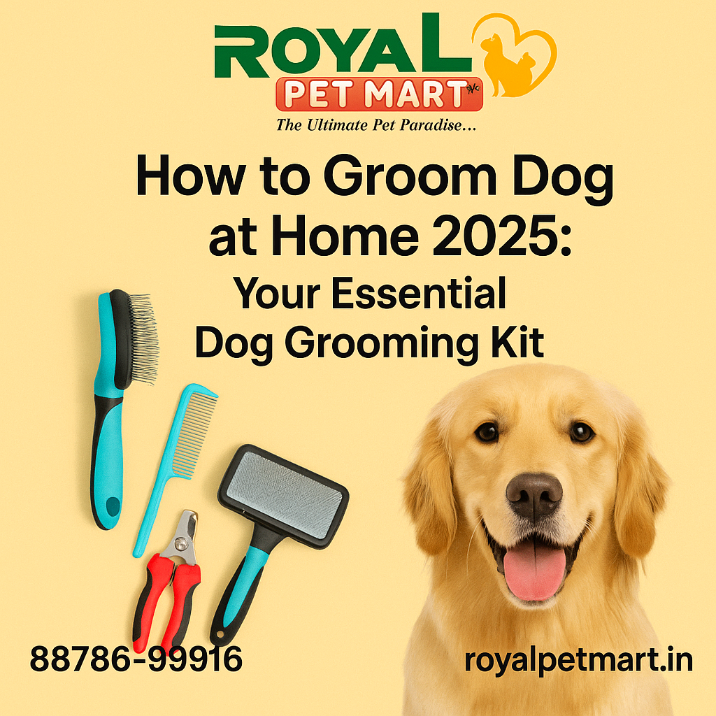 How to Groom Dog at Home 2025: Your Essential Dog Grooming Kit