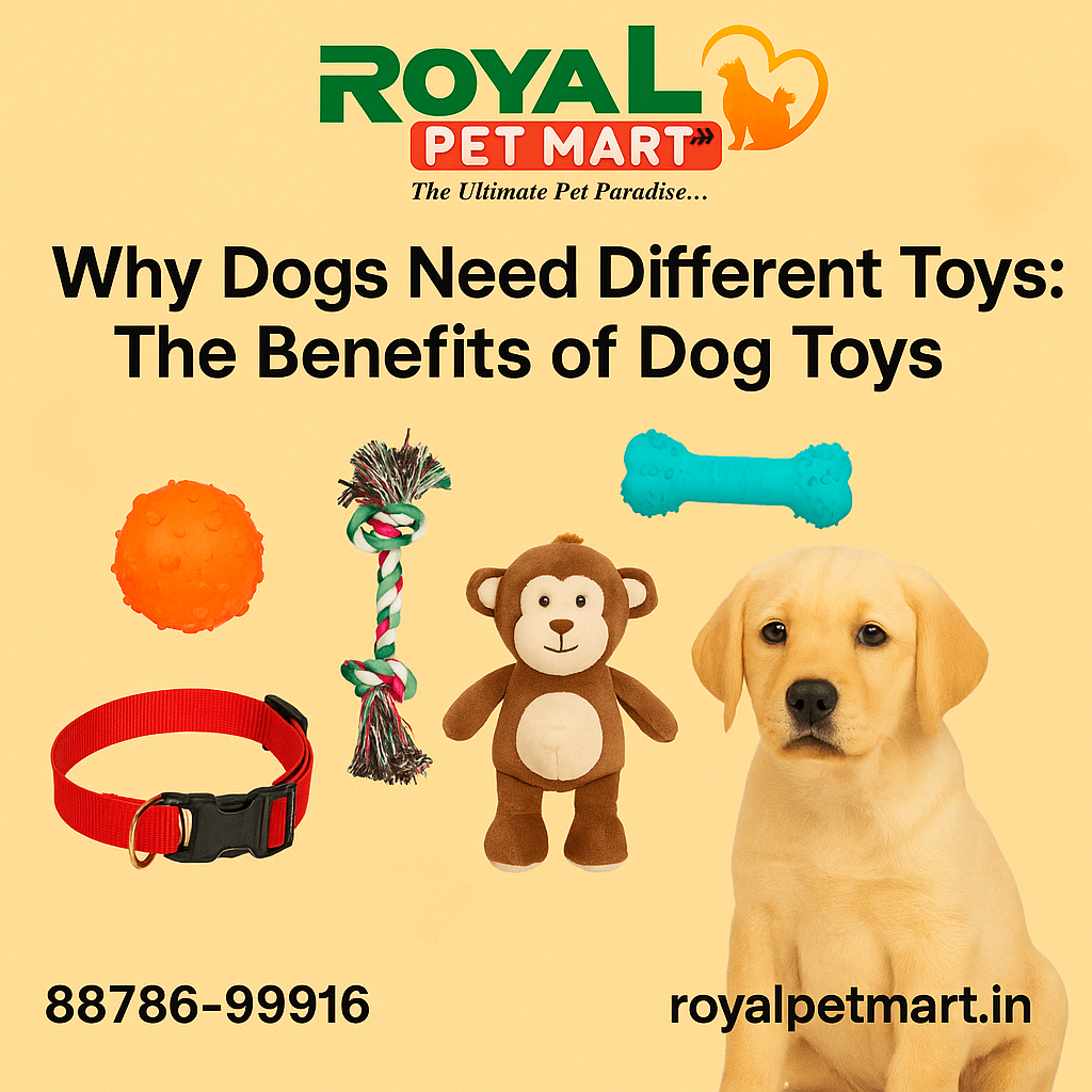 Why Dogs Need Different Toys: The Benefits of Dog Toys