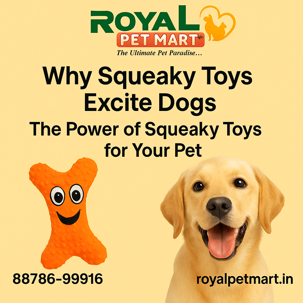 Why Squeaky Toys Excite Dogs: The Power of Squeaky Toys for Dogs