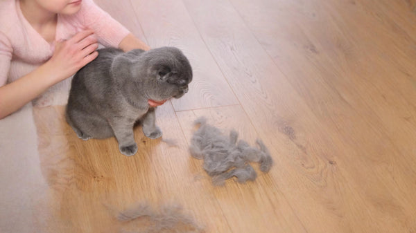 Hairfall