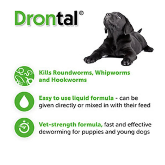 Drontal Puppy Syrup – oral deworming suspension for puppies