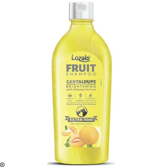 Lozalo Fruit Pet Shampoo – Cantaloupe, 200ml | pH Balanced, Paraben-Free, Enriched with Aloe Vera & Shikakai Extract | Suitable for Dogs & Cats