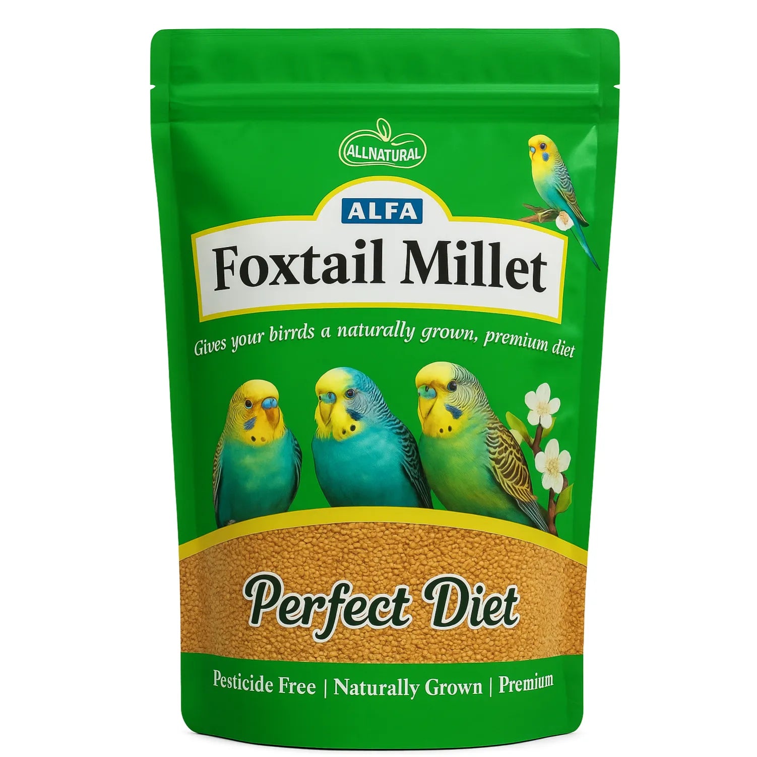 ALFA Foxtail Millet – Premium Natural Bird Food