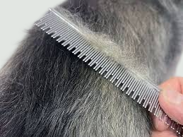 Hairfall